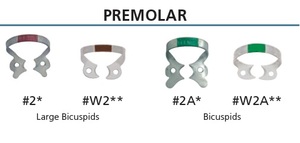 fiesta color coded matte finish clamp 2a (premolar and upper incisors)