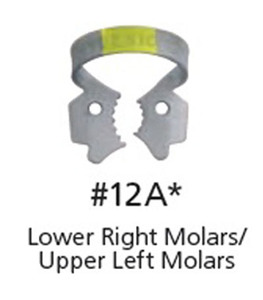 fiesta color coded matte finish clamp 12a (upper left molars)